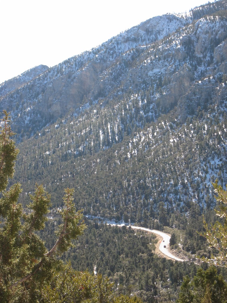 Las Vegas 2010 - Mt Charleston 0251.JPG - The 2010 Las Vegas Fire - Ice and Sweat Tour. Half Marathon, Red Rock Canyon, Casinos, Valley of Fire.... and buffets!